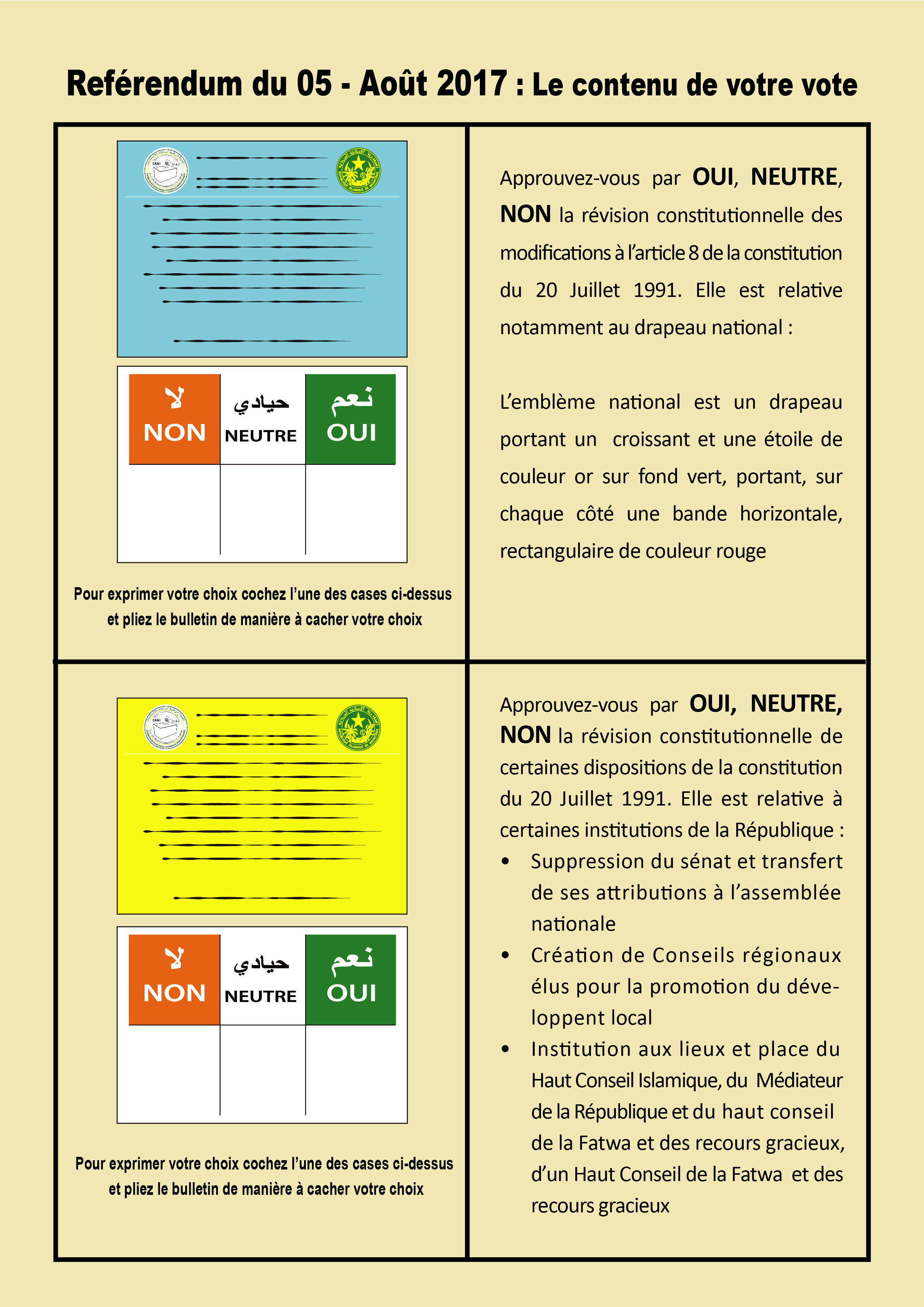 flyers constitution-01[1]