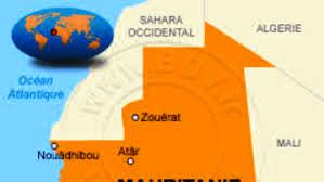 أصداء محلية