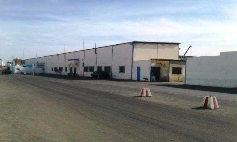 اتهامات خطيرة تلاحق مدير  الشركة الموريتانية للإيداع والتفريغ  (SAMMA)  منها تجاهل العلم&nbsp;الجديد