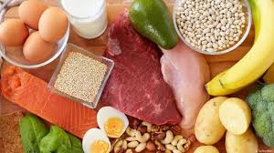 تحتوي هذه الصورة على سمة alt فارغة؛ اسم الملف هو alimentation.jpg