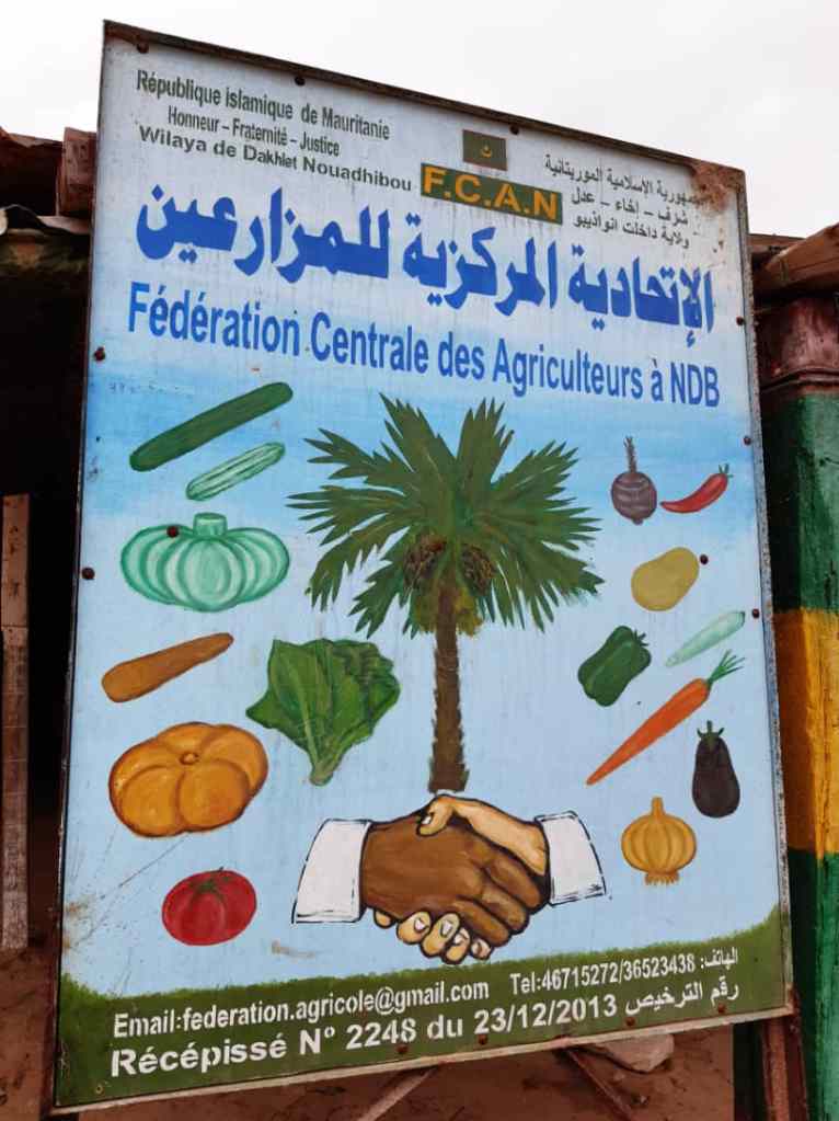 تحتوي هذه الصورة على سمة alt فارغة؛ اسم الملف هو img-20210519-wa0062-1.jpg