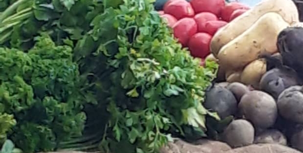 تحتوي هذه الصورة على سمة alt فارغة؛ اسم الملف هو img-20210519-wa0076.jpg