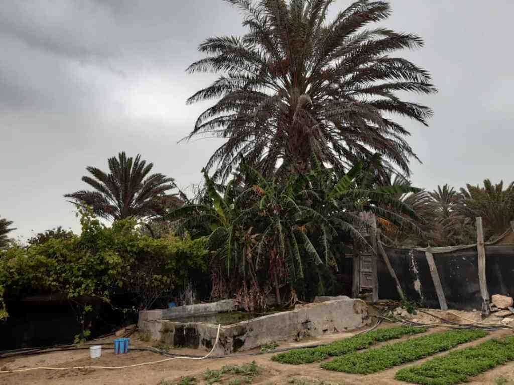 تحتوي هذه الصورة على سمة alt فارغة؛ اسم الملف هو img-20210519-wa0088.jpg