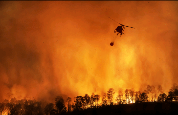 تحتوي هذه الصورة على سمة alt فارغة؛ اسم الملف هو feu.png