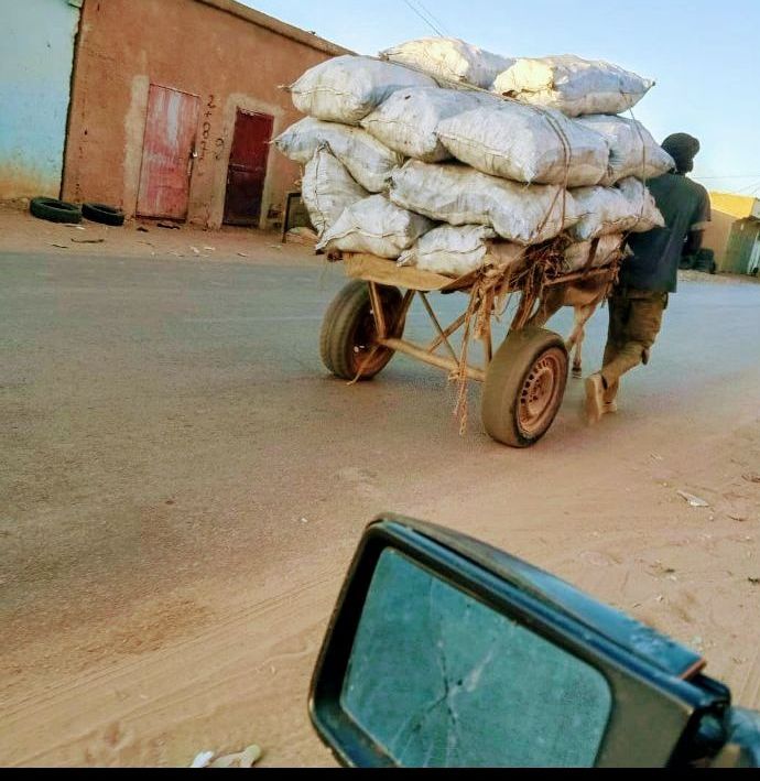 البيئة في موريتانيا  بين جهود الحماية و غياب الوعي لدى السكان[فيديو&nbsp;مرفق]