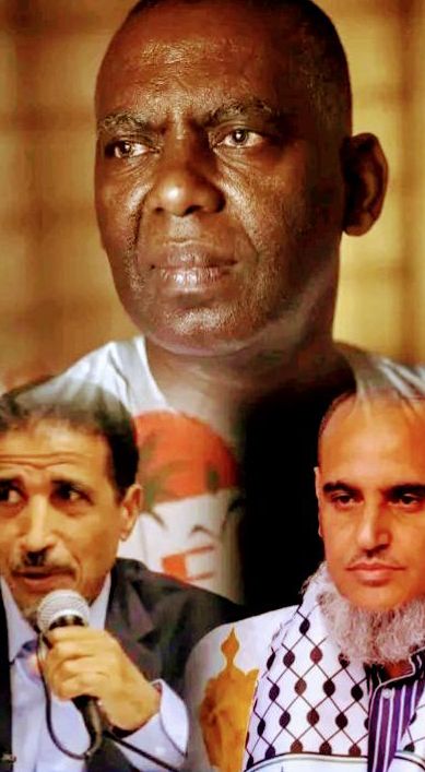 المعارض تعد لمهىجان كاسح في&nbsp;نواذيبو
