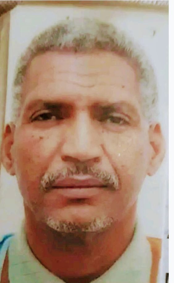 حين تصبح الهشاشة أسلوبا في إدارة  الدولة / بقلم سيديمحمد التهامي