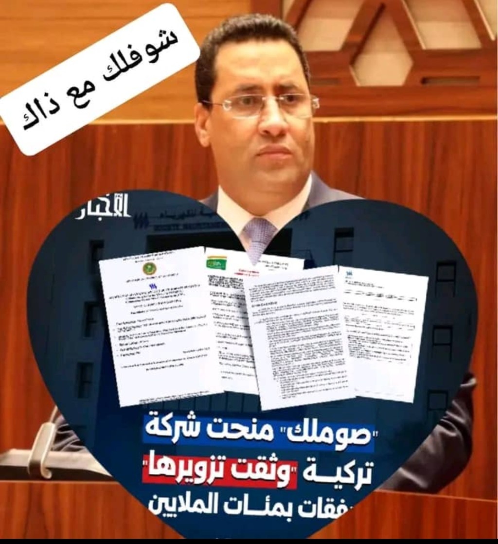 صوملك منحت شركة تركية وثقت تزويرها لصفقات بمئات&nbsp;الملايين